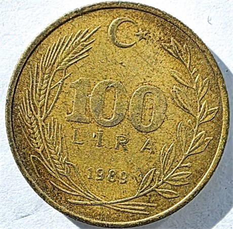 100 лир - Турция, 1989 год 17671