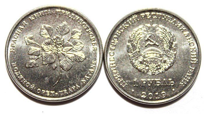 1 рубль - Водяной орех (чилим), Приднестровье, 2019 год 11997
