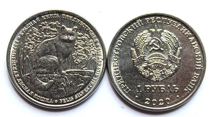 1 рубль - Европейская лесная кошка, Приднестровье, 2020 год 12006