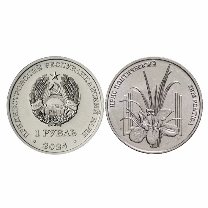 1 рубль - Ирис понтический, Приднестровье, 2024 год 13522