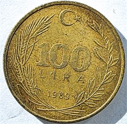 100 лир - Турция, 1989 год 17671