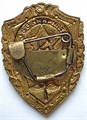 Значок - Отличник ВВС, тяжелый 14481