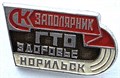 Значок - ГТО здоровье, Норильск 15261