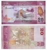 Банкнота 20 рупий - Шри-Ланка, 2024 год, UNC 17096