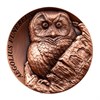 20 сене - Мохноногий сыч, Самоа, 2026 год 17715