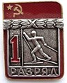 Значок - 1 разряд 13184