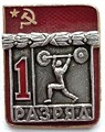 Значок - 1 разряд 13210